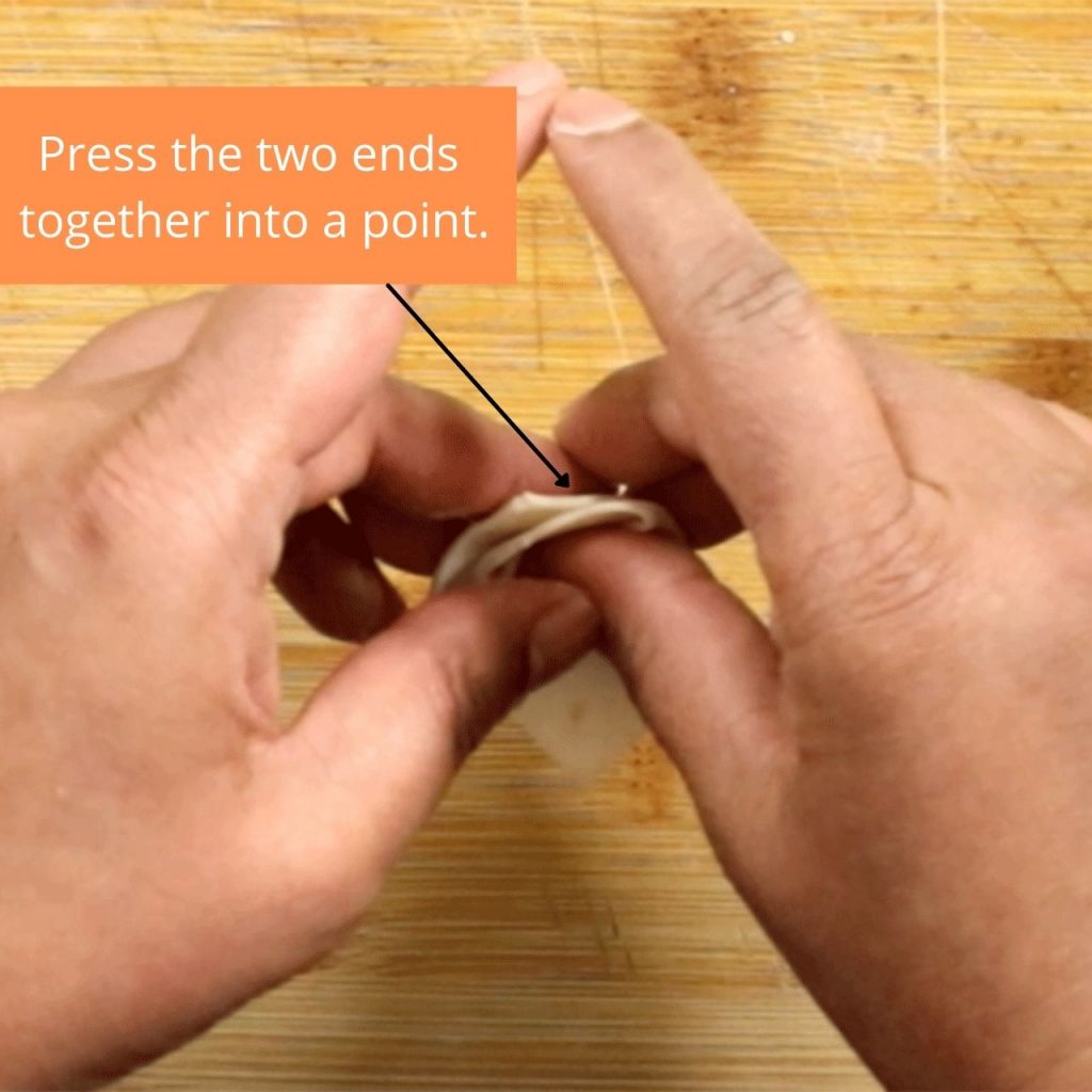Step 5 - Folding a wonton.