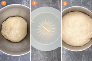 Pita Bread Dough - First Proof